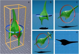 3d grafikák egy fitoplanktonról a Blender programban.